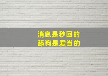 消息是秒回的 舔狗是爱当的